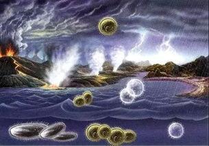 地球的由来视频,揭秘宇宙中的蓝色奇迹