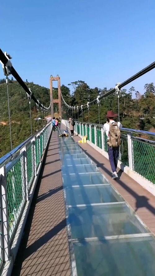 玻璃栈道恐高视频,玻璃栈道恐高者的极限冒险之旅