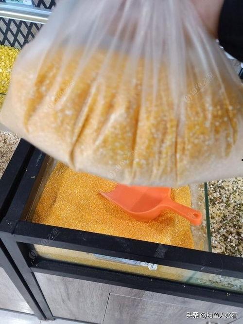 自制窝料视频,揭秘高效钓鱼技巧与配方