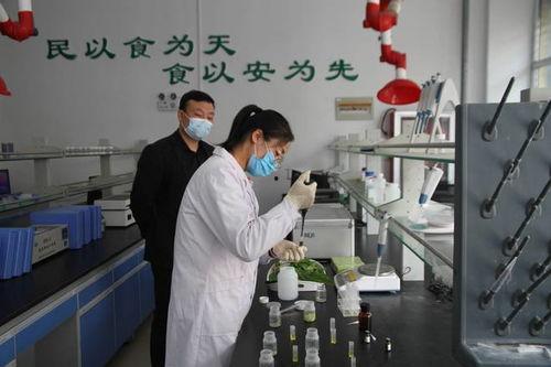 检测农残视频,食品安全守护行动