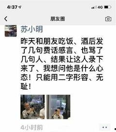 骂人视频全集,一场言语的狂欢与反思