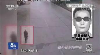 中国悍匪视频,惊心动魄的犯罪现场揭秘