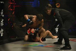 中韩格斗比赛视频,激情碰撞，谁主沉浮？