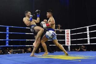 位宁辉最近比赛视频,精彩瞬间回顾