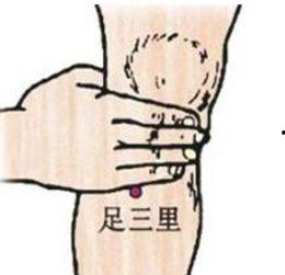 针灸足三里视频